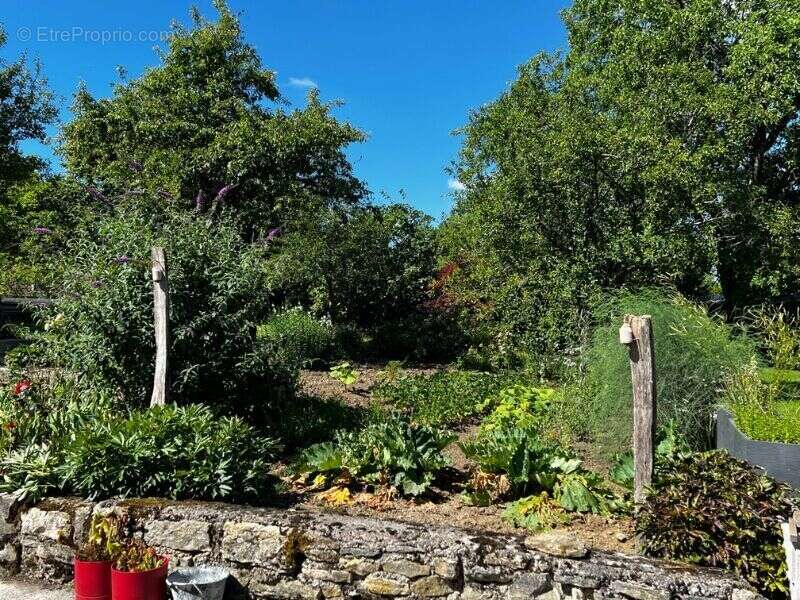 Photo 3 - Appartement à CUSSEY-SUR-L&#039;OGNON