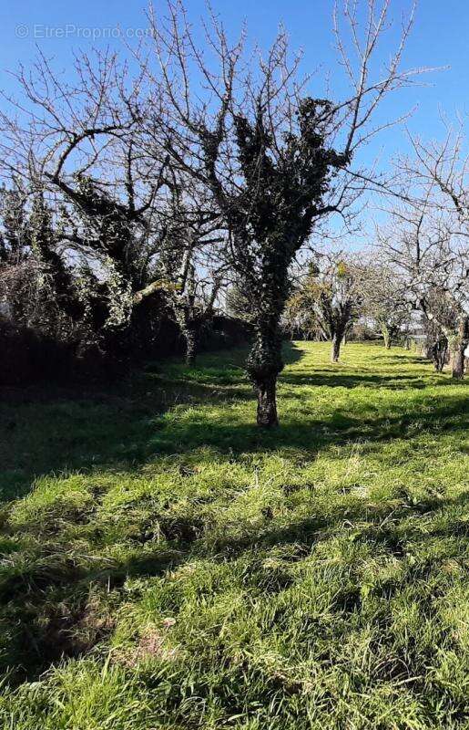 Terrain à LENS-LESTANG