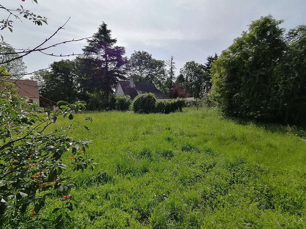 Terrain à SAINT-PIAT