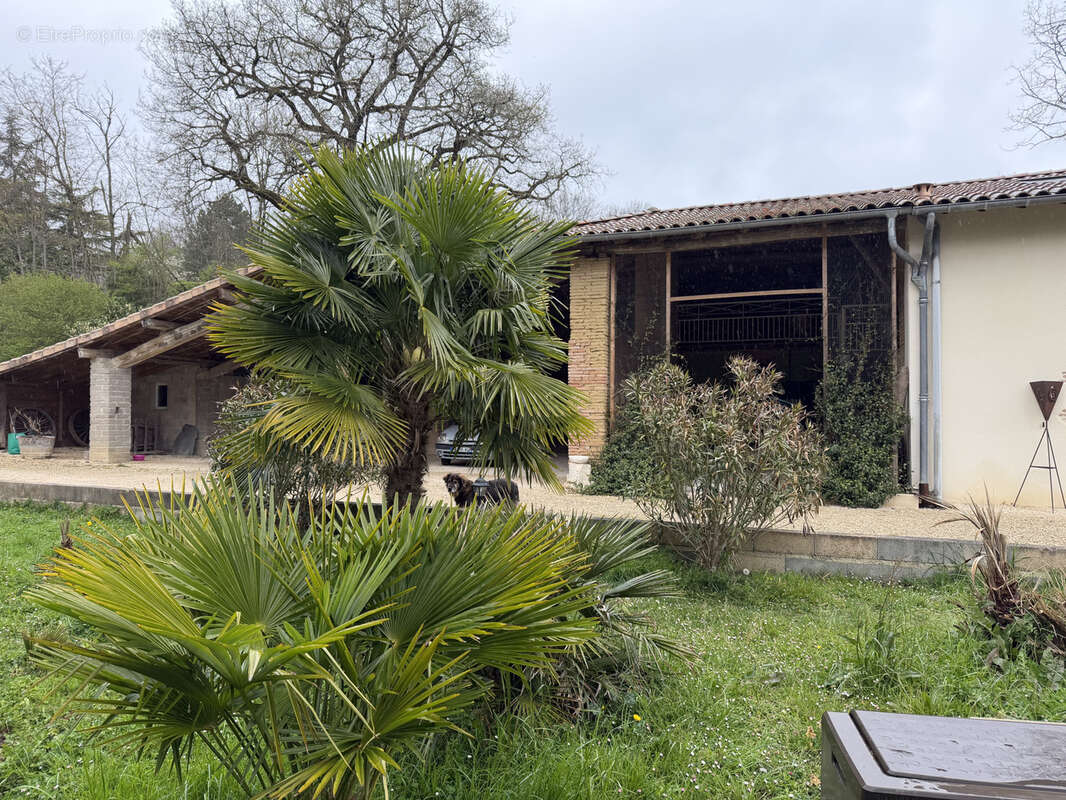 Maison à LAMOTHE-CAPDEVILLE