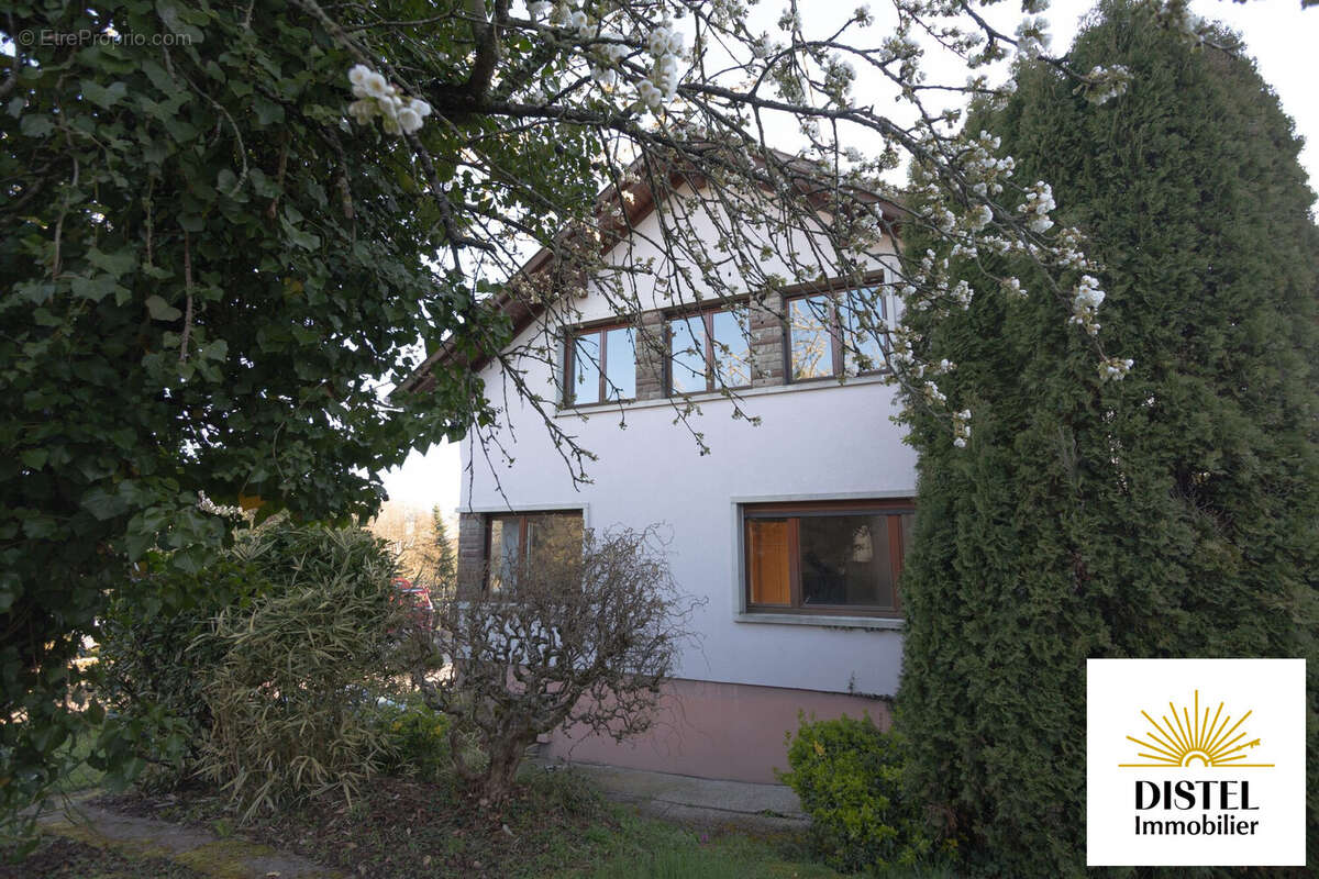 Maison à THAL-MARMOUTIER