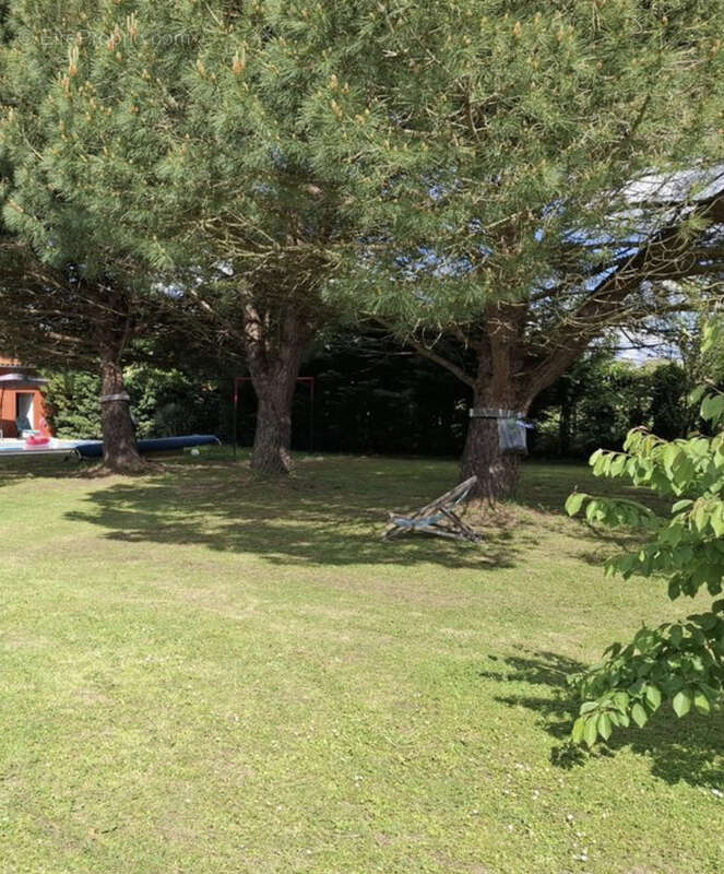 Autre à CINTEGABELLE