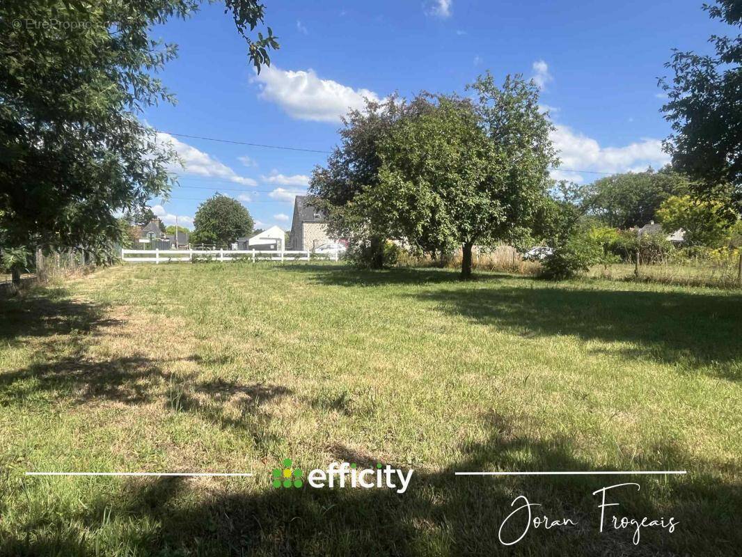 Terrain à SAINT-MARC-LE-BLANC