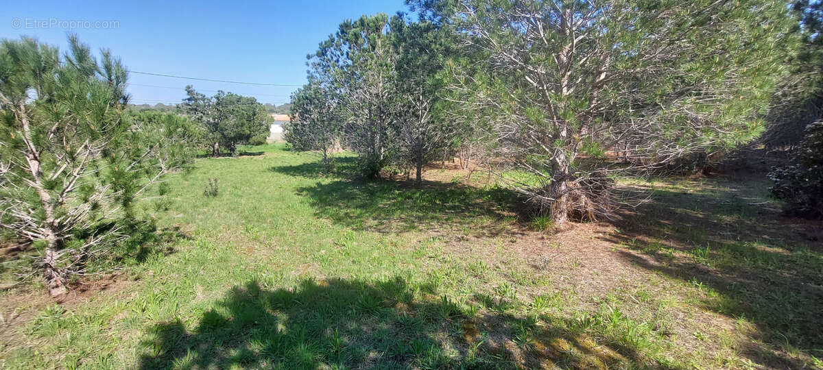 Terrain à PERPIGNAN