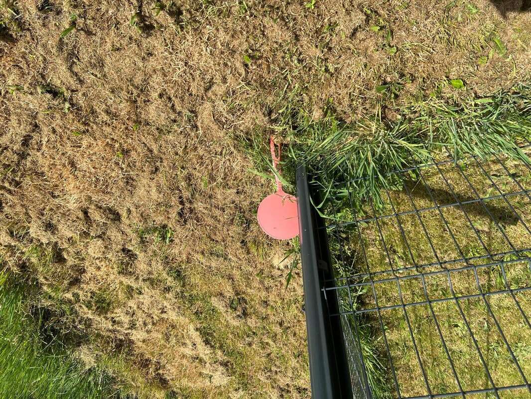 Photo 4 - Terrain à MONCE-EN-BELIN