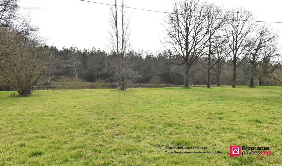 Terrain à LA PLAINE