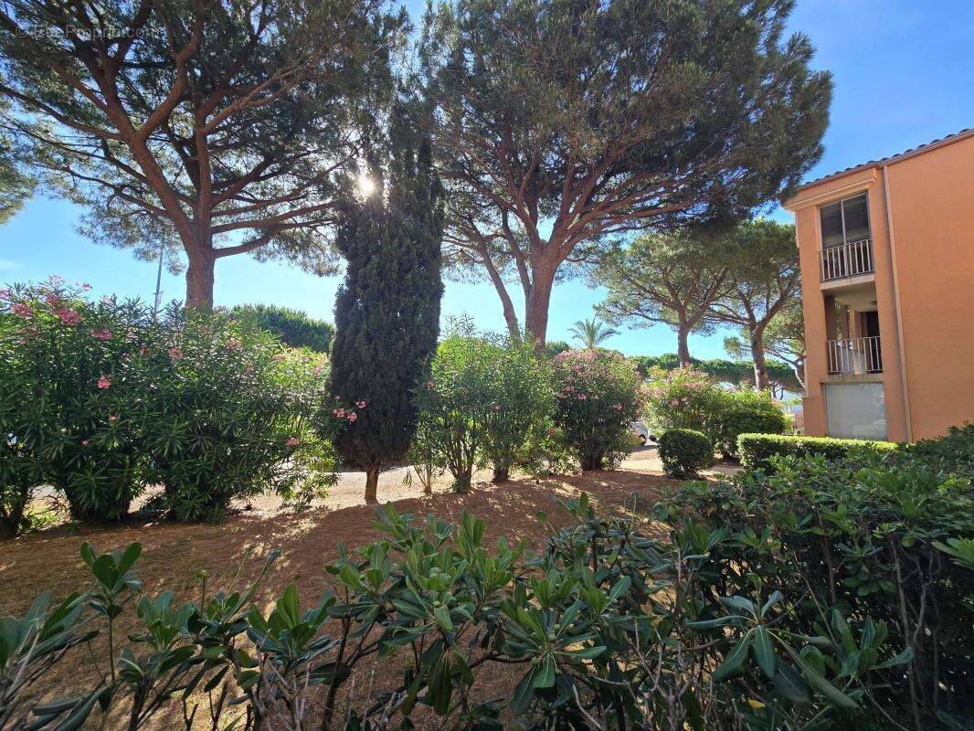 Appartement T2 Saint Cyprien Plage 25m2 - photo 7