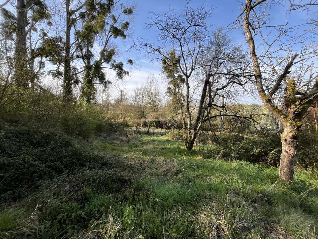Maison 40 m² à Tresson  - photo 2