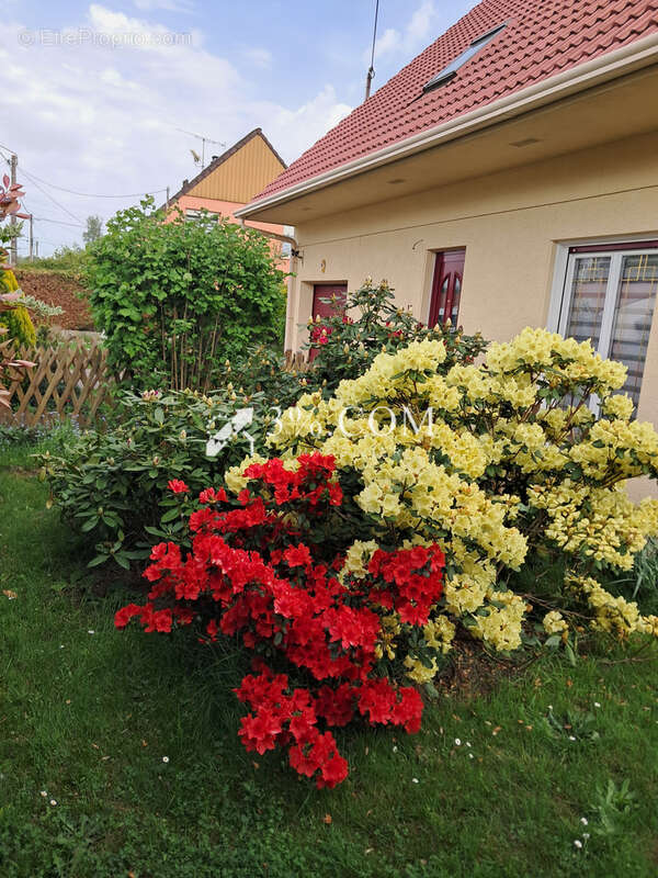 Maison à CHANTEHEUX
