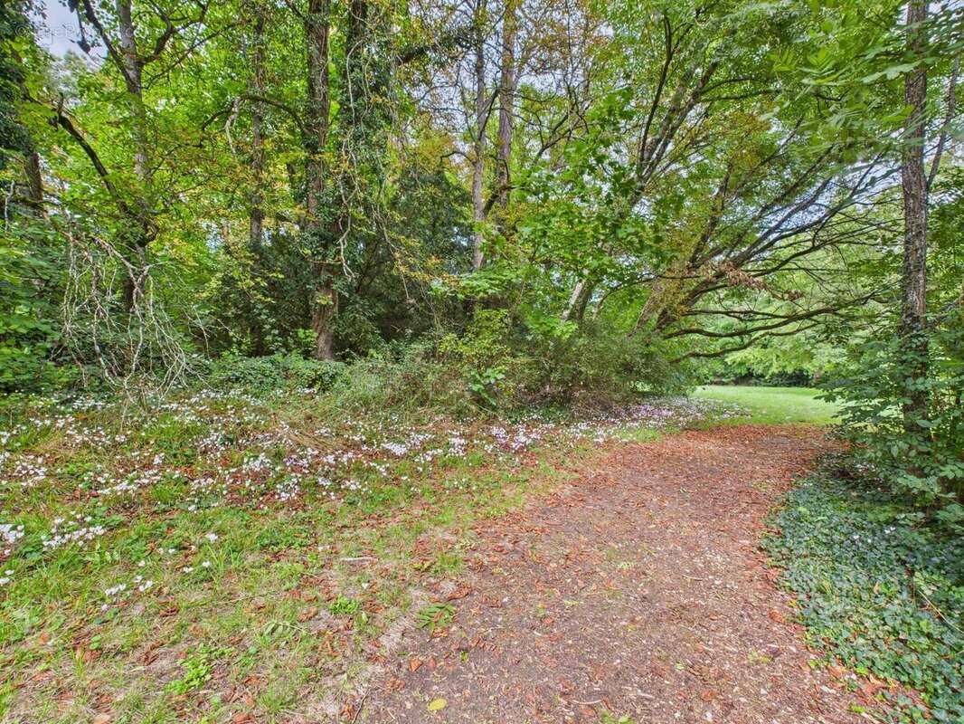 Maison à TOURNON-SAINT-PIERRE