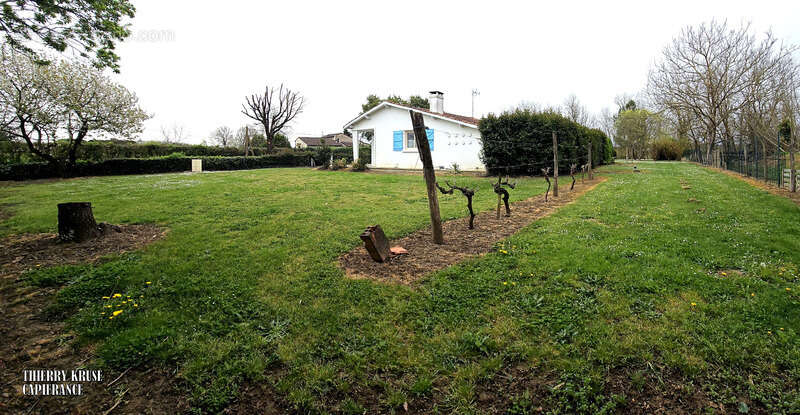 Maison à CASTELSARRASIN