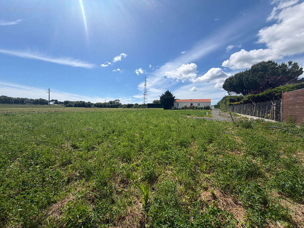 PROCHE COMMERCES - Terrain viabilisé de 235 m² - photo 2