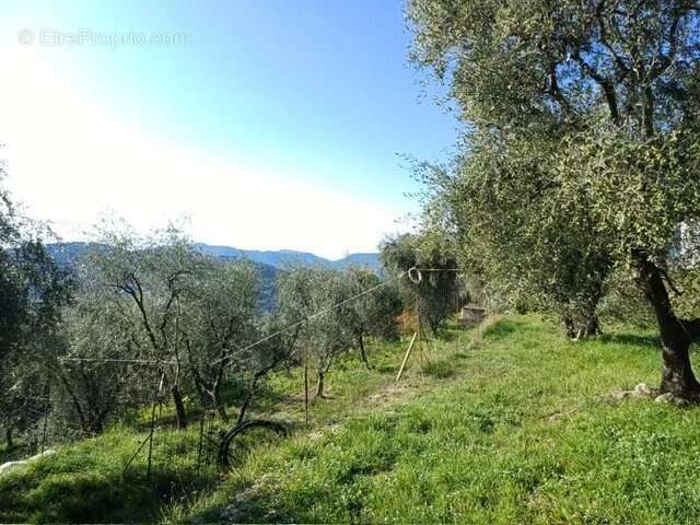 Maison à L&#039;ESCARENE