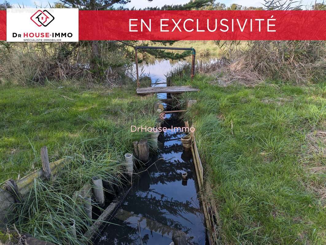 Terrain à L&#039;ILE-D&#039;OLONNE