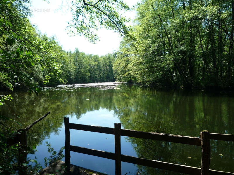Maison à BAULNE-EN-BRIE