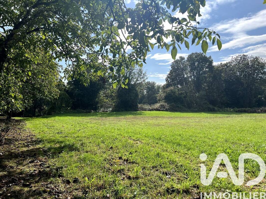 Photo 1 - Terrain à SALIGNAC-EYVIGUES