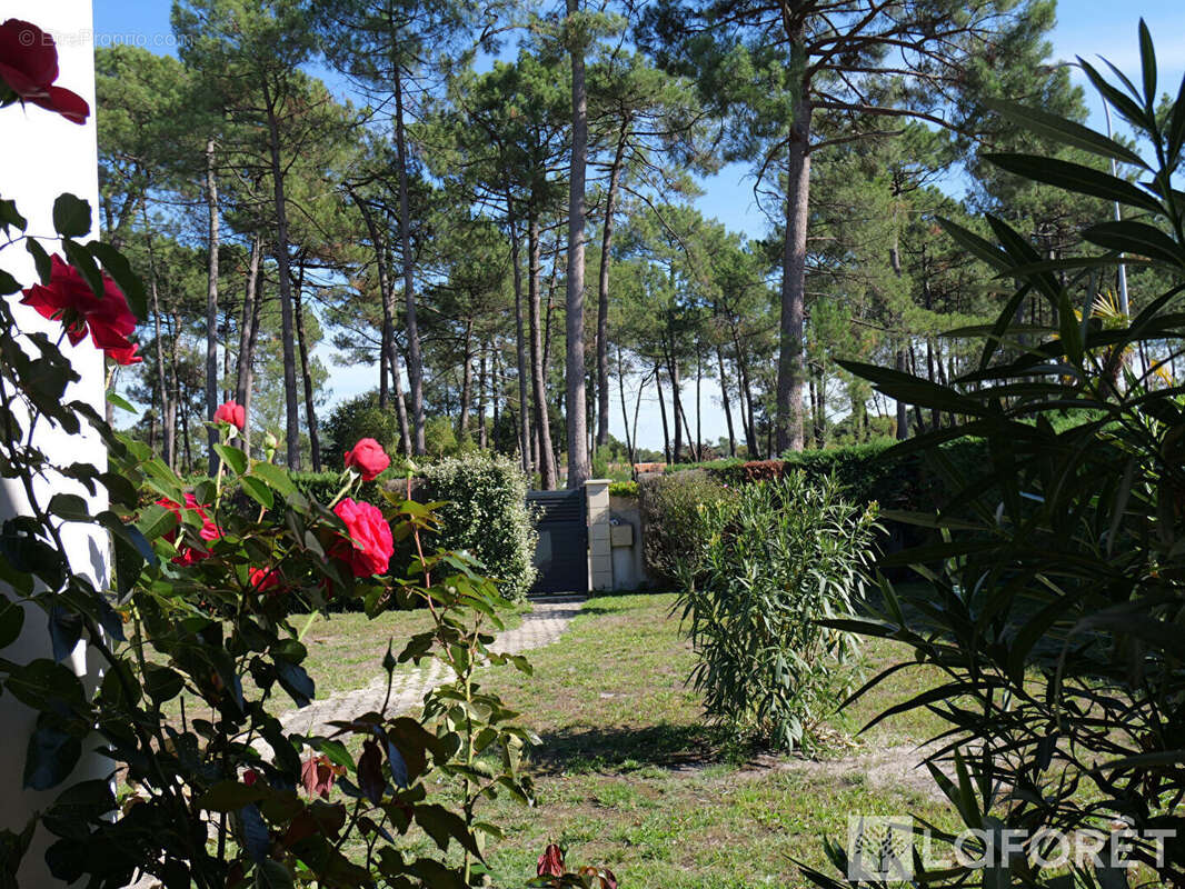 Maison à GUJAN-MESTRAS