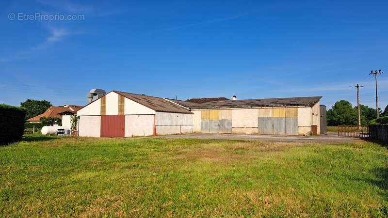 Commerce à SAUVETERRE-DE-BEARN