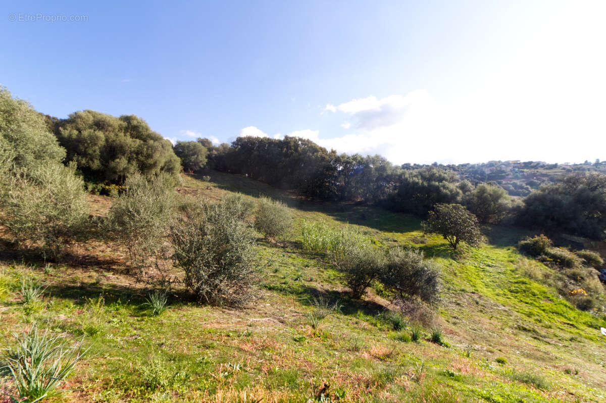 Terrain à BASTELICACCIA