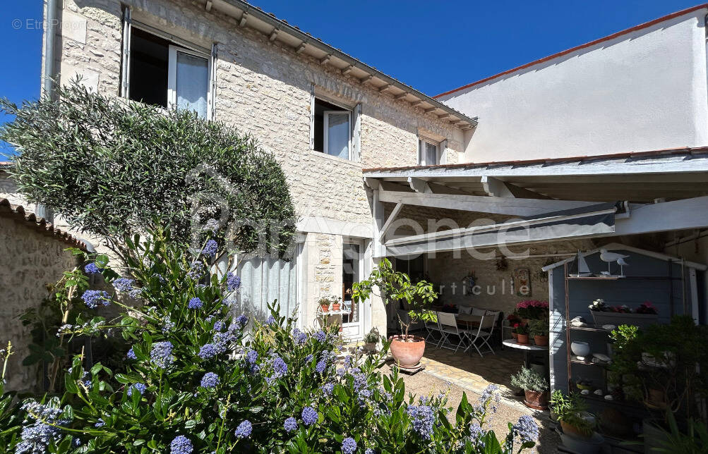 Maison à MESCHERS-SUR-GIRONDE
