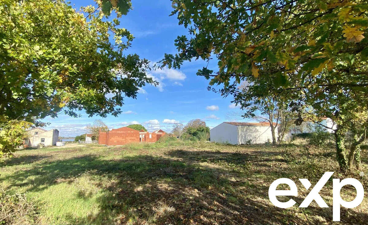 Terrain à PORT-DES-BARQUES