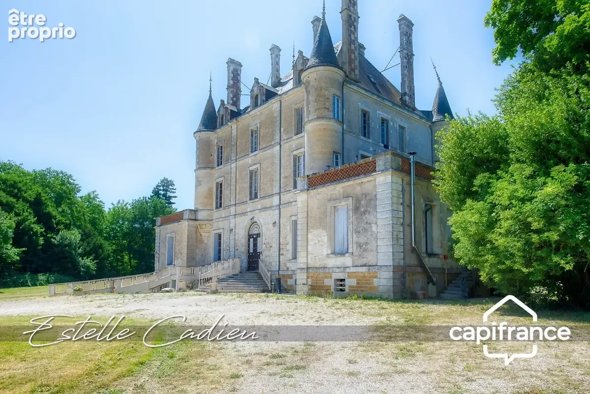 Propriété d’exception  – Château XIXe à CHANTONNAY (85) - photo 2