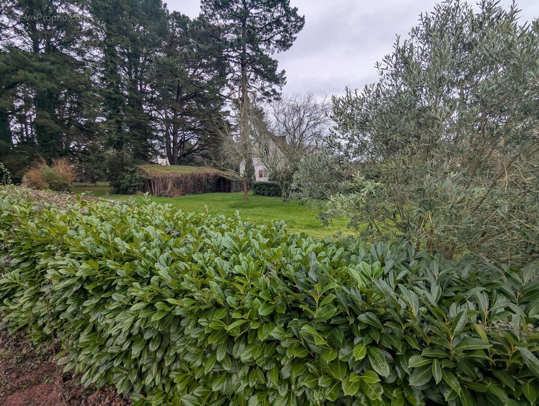 Terrain à SAINT-LYPHARD