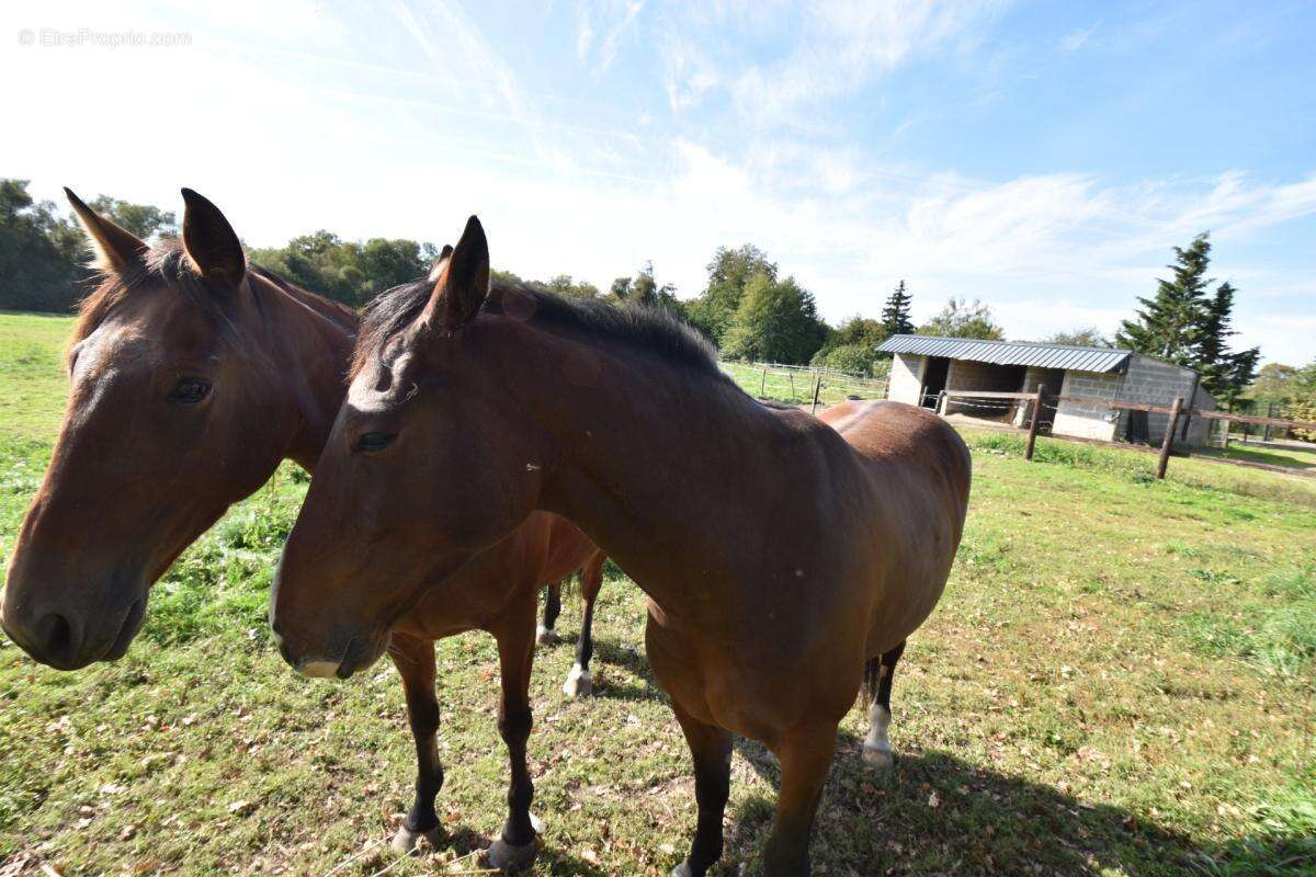 Ferme sur 30 ha avec longere et dependance - photo 24
