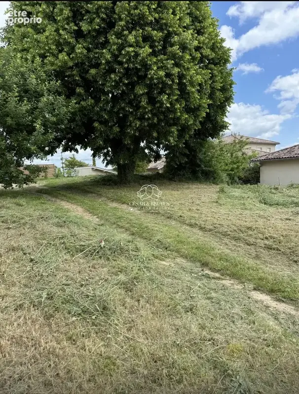 Terrain