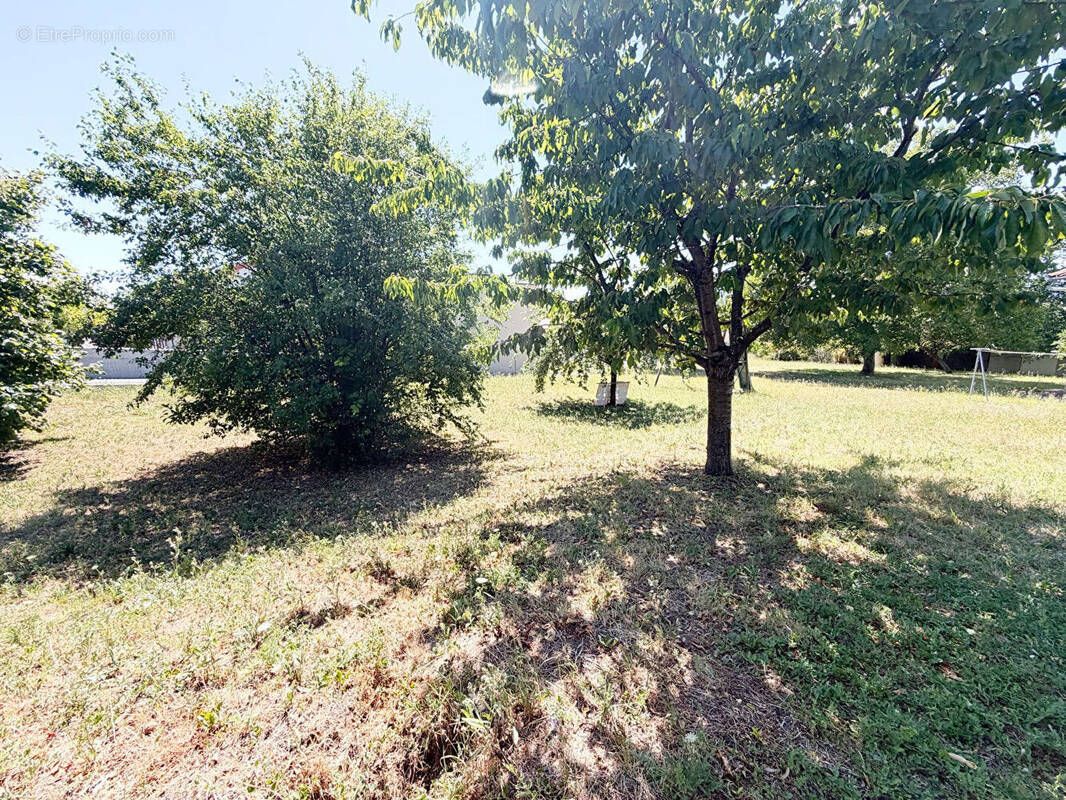 Terrain à MEZEL