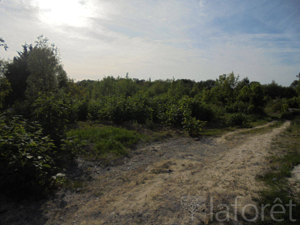 Terrain à SAINT-QUENTIN