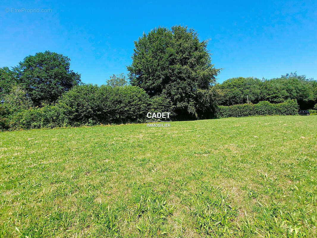Terrain à LA HAYE-PESNEL