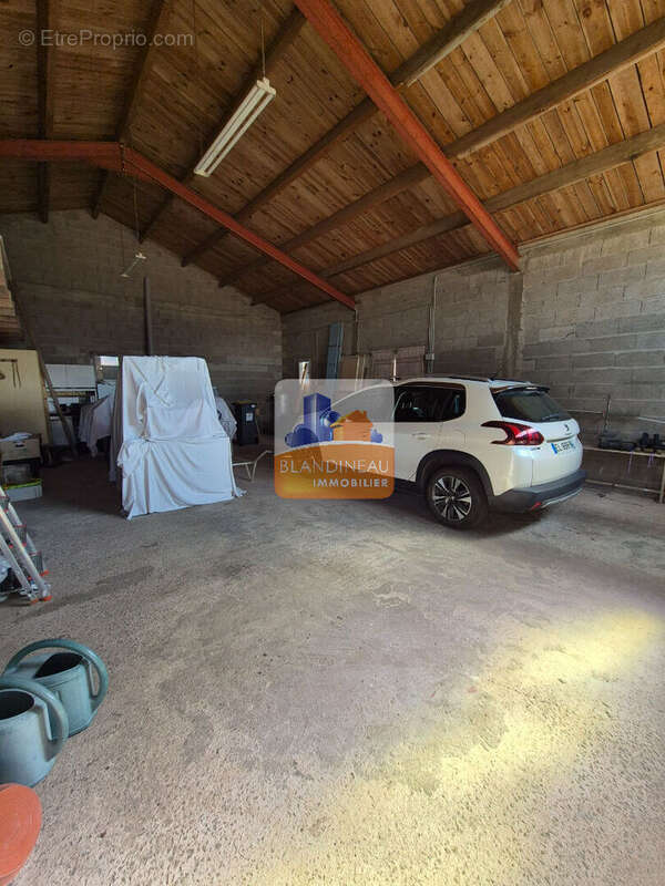 Maison de plain-pied, 160 m², 5 ch + bureau terrain 2038 m²,  hangar 100 m² - photo 14