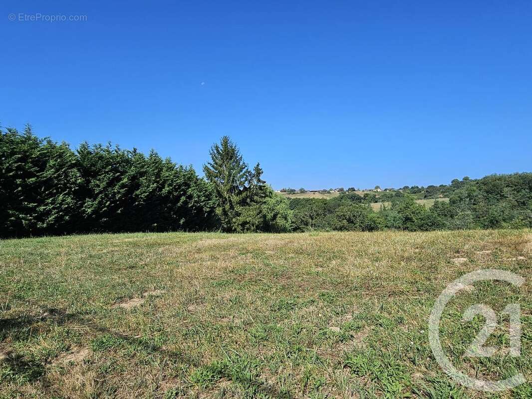 Terrain 3685 m² à Baigts-De-Bearn  - photo 3