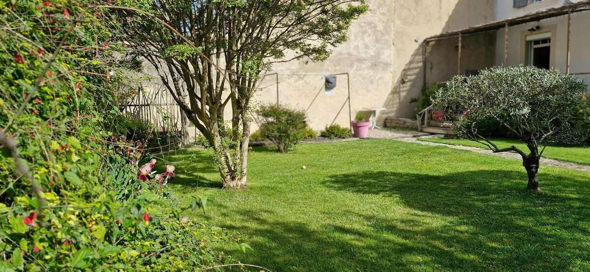 Photo 4 - Maison à MALEMORT-DU-COMTAT