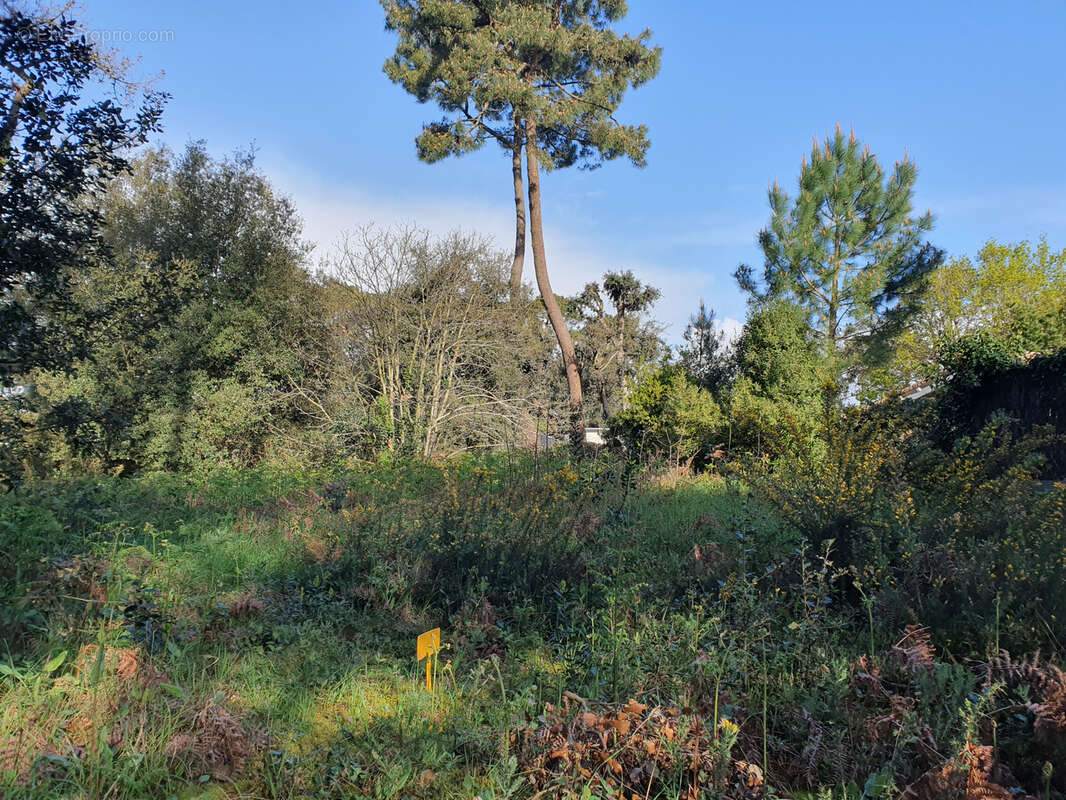 Terrain à JARD-SUR-MER