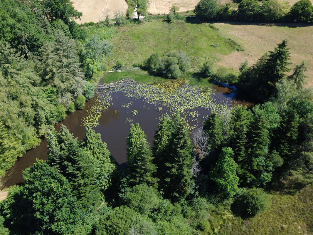 Proche Saint Yrieix La Perche - photo 3