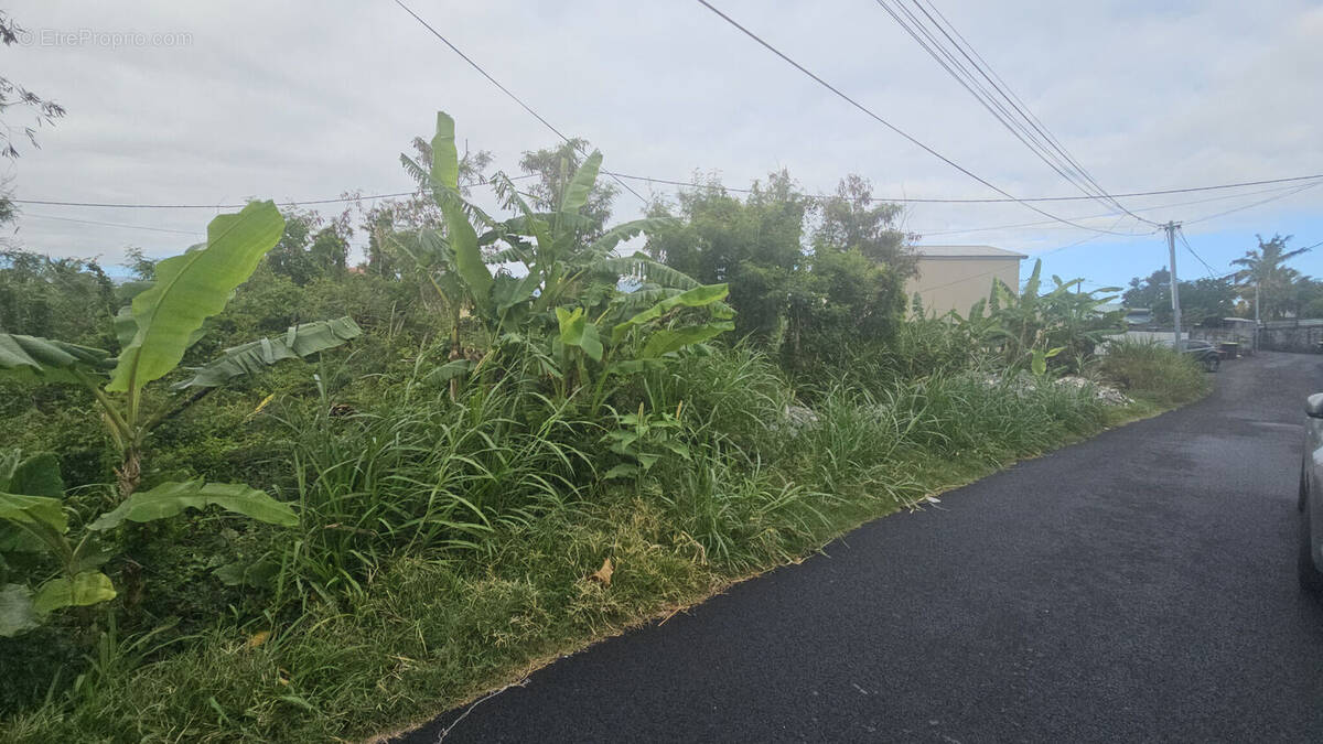 Photo 1 - Terrain à SAINT-ANDRE