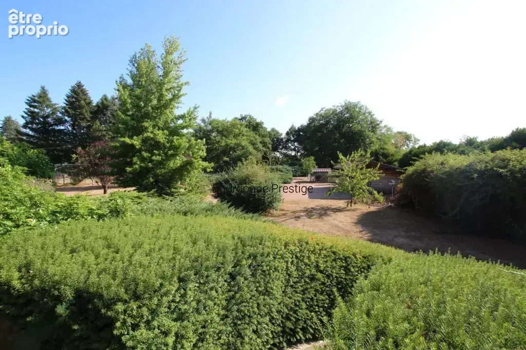 Bourgogne du sud- belle maison familiale 204 m²  -terrain de 8257 m² -sous-sol - acces privatif a la loire - photo 4