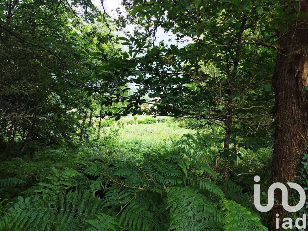 Photo 3 - Terrain à SAINT-JACUT-LES-PINS