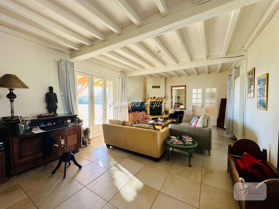 Charmante maison familiale de 4 chambres avec piscine et jardin arboré - photo 6