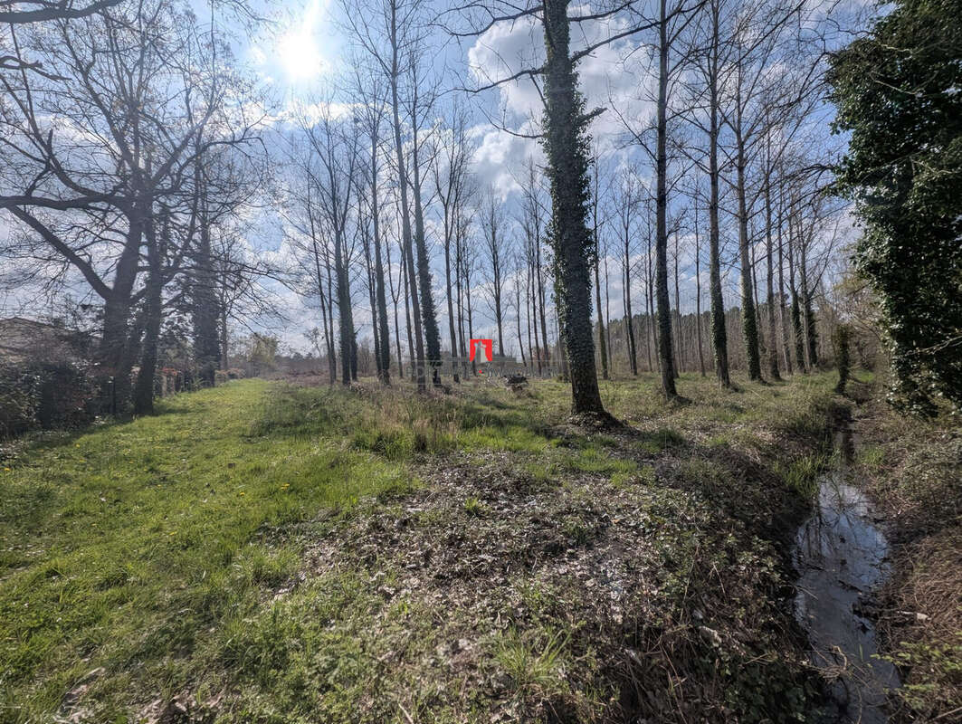 Terrain à ETAULIERS