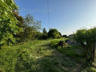 Terrain à BARBEZIEUX-SAINT-HILAIRE