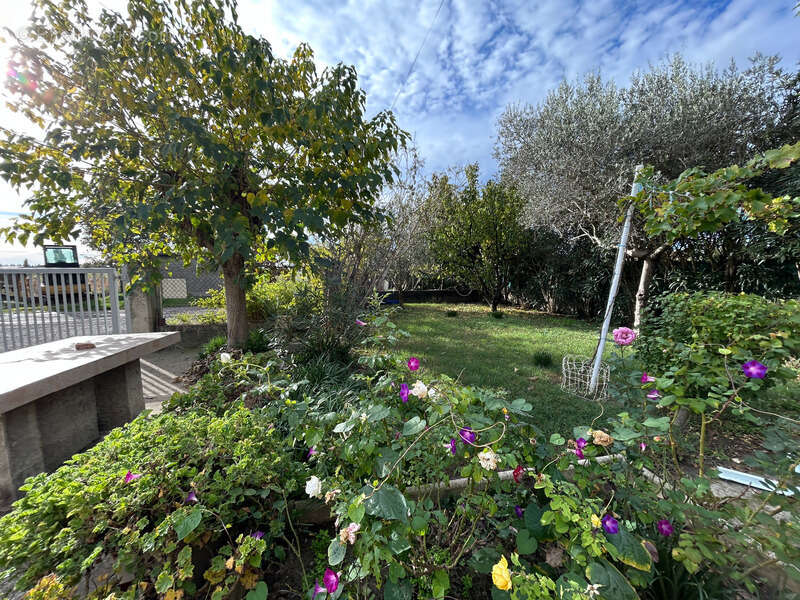 Maison à PIERRELATTE