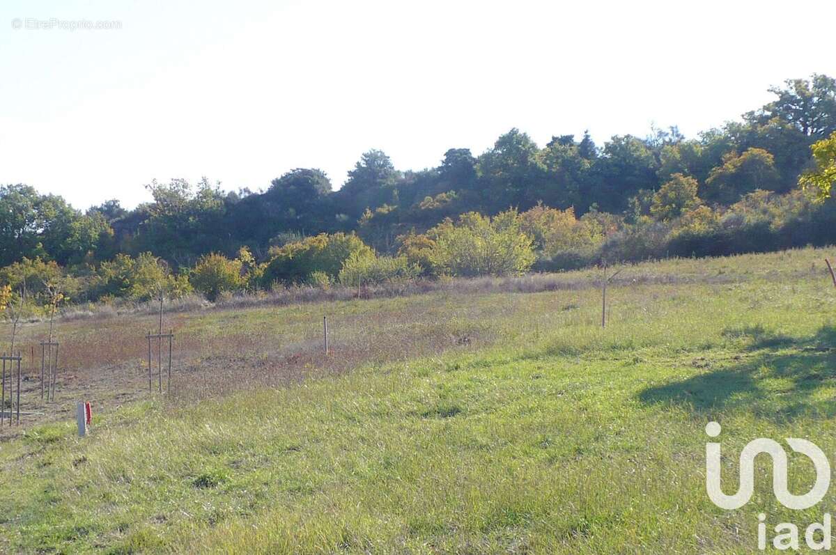 Photo 4 - Terrain à MANOSQUE