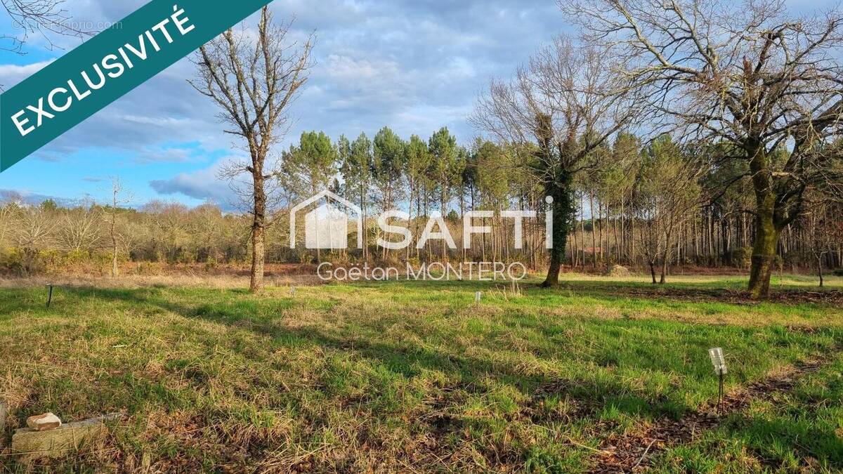 Photo 1 - Terrain à PONTENX-LES-FORGES