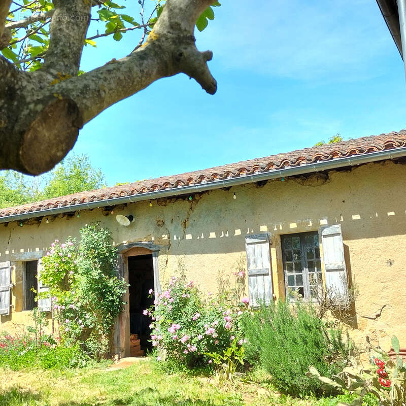 Maison à MASSEUBE