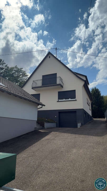 Kochersberg  ensemble immobilier sur 25 ares - photo 3