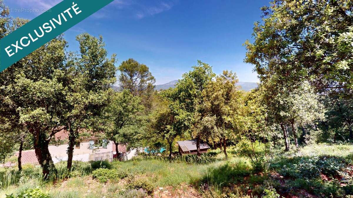 Photo 3 - Maison à NEOULES