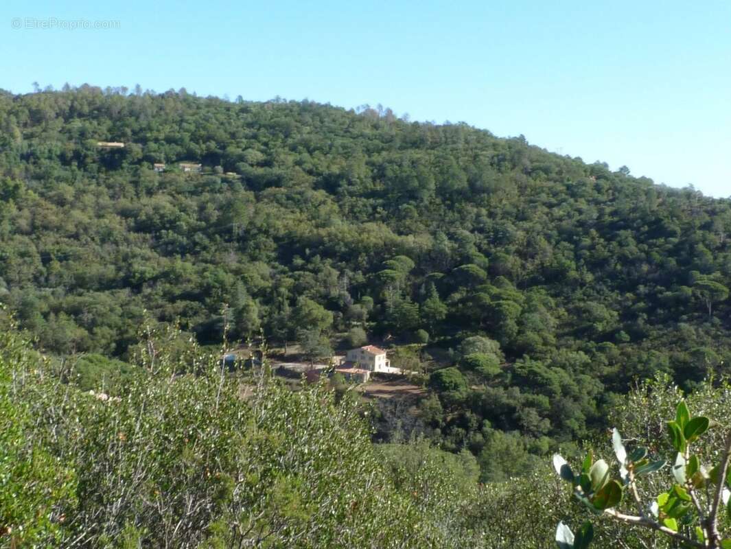 Maison à LA GARDE-FREINET